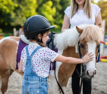 hipoterapi hizmetleri